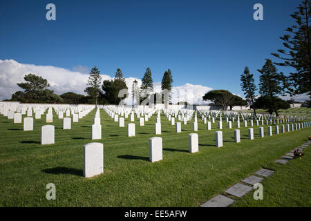 Fort Rosecrans National Cemetery, San Diego, Kalifornien, USA Stockfoto