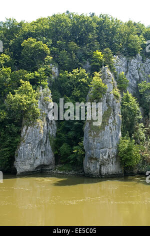 Deutschland, Bayern, Kehlheim, Donau, Niederbayern, Fluss, Altmühltal, charakteristisch, Donauenge, Gastvogelmanagement, Landschaft, Stockfoto