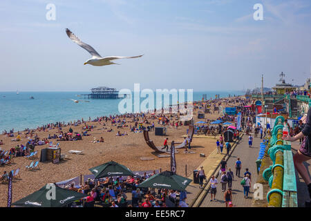 Brighton Beach West Pier Brighton East Sussex England UK Möwen fliegen über Massen Stockfoto