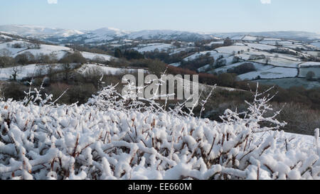 Carmarthenshire, Wales, Großbritannien. 14.. Januar 2015. Wetter in Großbritannien. Schneefall über Nacht in Carmarthenshire wird von frisch kaltem Wetter und Sonnenschein am Morgen KATHY DEWITT begrüßt Stockfoto