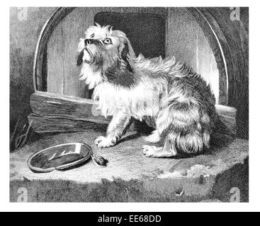 Es gibt keinen Ort wie zu Hause Sir Edwin Henry Landseer Haustier Hund Hunde Zwinger Schnecke Fütterung Essen hungrige Tier Yorkshire-terrier Stockfoto