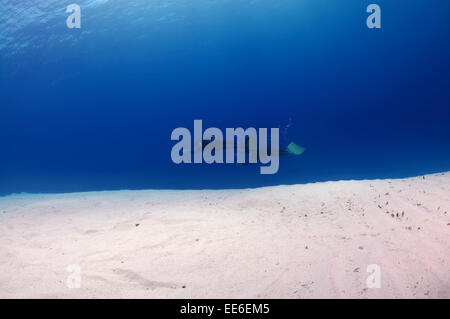 Freediver schwimmt über sandigem Untergrund, Rotes Meer, Ägypten Stockfoto