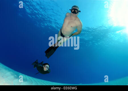 Freediver schwimmt über sandigem Untergrund, Rotes Meer, Ägypten Stockfoto