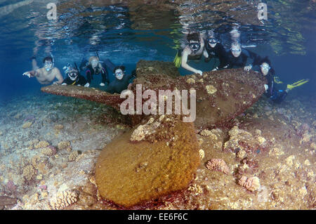 Gruppe Freitaucher schwebt über dem Propeller Wrack, Rotes Meer, Ägypten Stockfoto
