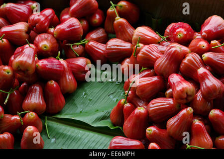 Rose Apple auf dem Markt Stockfoto