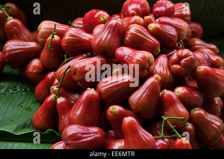 Rose Apple auf dem Markt Stockfoto