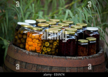 Eingelegtes Gemüse, Baranja, Kroatien Stockfoto