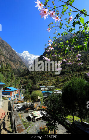 Blick über Thado Kashingaor Dorf im Everest base camp Trek, Sagarmatha Nationalpark, Solukhumbu Bezirk, Khumbu-Region, Stockfoto