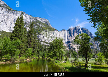 Merced River mit Yosemite Falls in Entfernung von Swinging Bridge, Yosemite Tal, Yosemite-Nationalpark, Kalifornien, USA Stockfoto