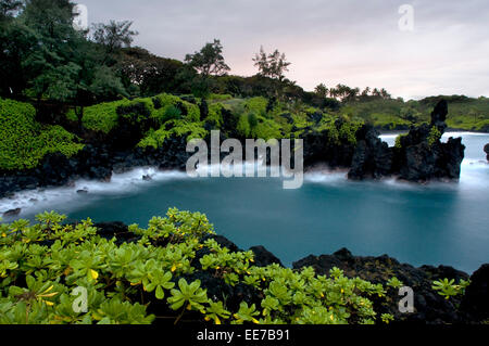 Wai'anapanapa State Park. Eine grüne Lage mit Meeresgrotten und vulkanischen Felsen. Hana Highway. Maui. Hawaii. Dies ist ein toller Zwischenstopp Stockfoto