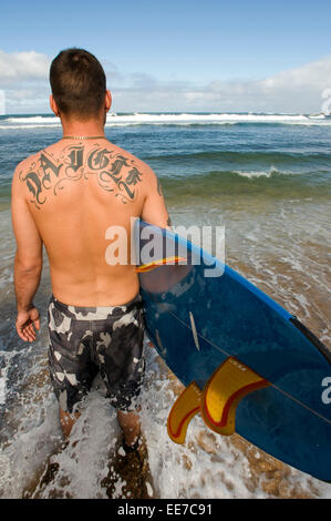 Surfer am Strand Ali'i Beach Park. Haleiwa. O' ahu. Hawaill. Ali ' i Beach Park besteht aus einem westlichen Hauptteil und ein kleines e Stockfoto