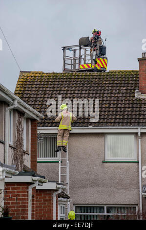 Haverfordwest, Großbritannien Mittwoch 14. Januar 2015 Feuerwehrleute zu einem beschädigten Haus zwei Menschen besuchen wurden ins Krankenhaus gebracht, nachdem ein Mini-Tornado schlug eine Reihe von Häusern in Haverfordwest, Pembrokeshire Stockfoto