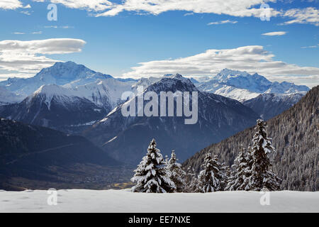 Berge von Riederalp und Schnee gesehen bedeckt Fichten im Winter in den Schweizer Alpen, Wallis / Valais, Schweiz Stockfoto