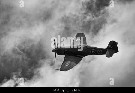 Hawker Sea Fury Stockfoto