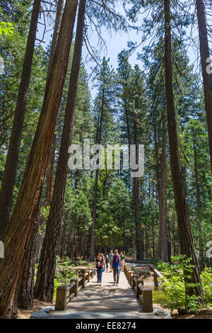 Wanderer auf den Spuren von Yosemite Village in Yosemite Fälle, Yosemite Tal, Yosemite-Nationalpark, Kalifornien, USA Stockfoto