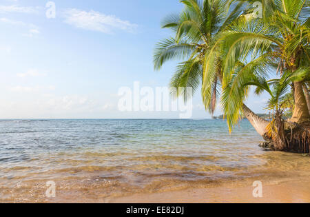 Einsamen Strand von Boca del Drago auf dem Archipel Bocas del Toro, Panama Stockfoto