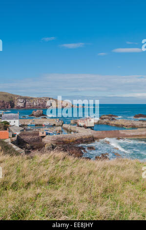 Blick auf St. Abbs Hafen St. Abbs schottischen Grenzen Schottland mit Nordsee und RNLI Lifeboat station Stockfoto