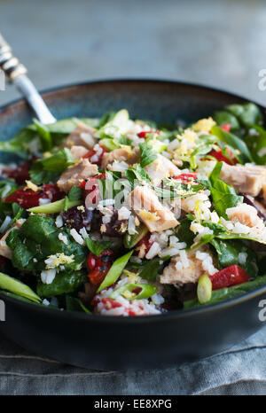 Gemischter Salat mit Thunfisch, Reis und Gemüse Stockfoto