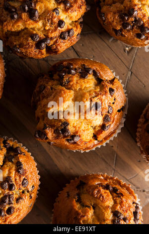 Hausgemachte Chocolate Chip Muffins bereit zum Frühstück Stockfoto
