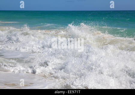 Lebhafte karibische Meer. Playa Los Cocos. Cayo Largo. Kuba. Stockfoto