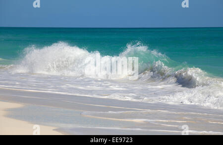 Lebhafte karibische Meer. Playa Los Cocos. Cayo Largo. Kuba. Stockfoto