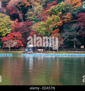 Herbstfarben auf dem Ōi Fluss in Arashiyama, Kyoto, Japan. Stockfoto