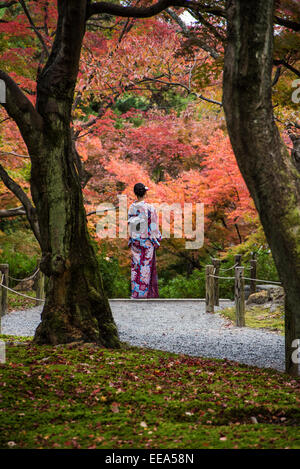 Japanische Frau in Tracht besuchen Herbst Blätter im Tofukuji Tempel in Kyoto, Japan. Stockfoto
