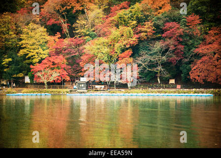 Herbstfarben auf dem Ōi Fluss in Arashiyama, Kyoto, Japan. Stockfoto