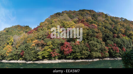 Herbstfarbe im Flusstal Uji, Kyoto, Japan. Stockfoto