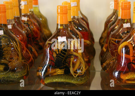 Flaschen Alkohol gefüllt mit Skorpionen und Schlangen sind in einem Geschäft in Vietnam verkauft. Stockfoto