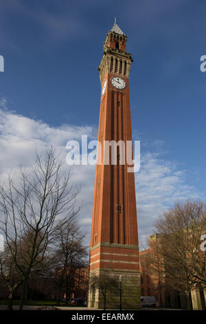 Joseph Chamberlain Memorial Clock Tower oder Old Joe in den Hof der Birmingham University. Stockfoto