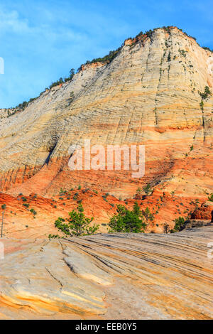 Checkerboard Mesa liegt östlich der Zion Nationalpark, Utah, USA Stockfoto