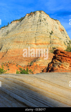 Checkerboard Mesa liegt östlich der Zion Nationalpark, Utah, USA Stockfoto