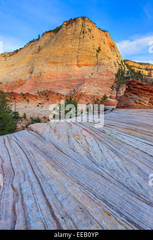 Checkerboard Mesa liegt etwas östlich des Zion Nationalparks. Stockfoto