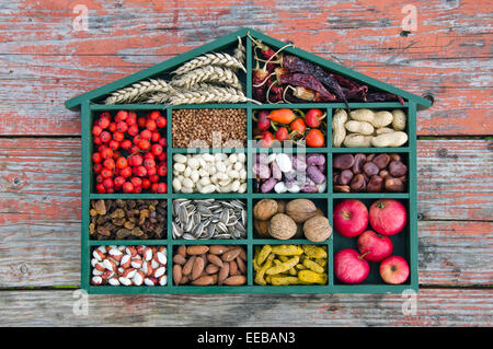 verschiedene vegetarische gesunde Früchte, Samen und getrocknete Lebensmittelzutat in Holzkiste Stockfoto