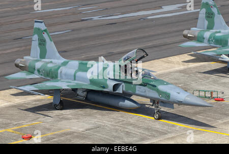 Brasilianische Luftwaffe f-5 bei Natal Air Force Base, Brasilien. Stockfoto