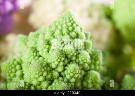 Nahaufnahme des Romanesco Brokkoli mit anderen Arten von Blumenkohl im Hintergrund unscharf. Stockfoto