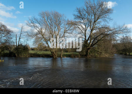 Fluß Avon gesehen vom Weg der Stadt Salisbury Wiltshire Stockfoto