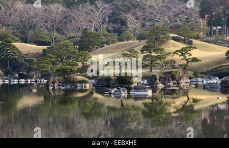 Kumamoto, Kyushu, Japan. Der Spaziergang Garten Suizen-Ji Joju-En, begonnen im Jahre 1632. Kiefern, die beschnitten werden, um eine Illusion von Skala zu geben Stockfoto