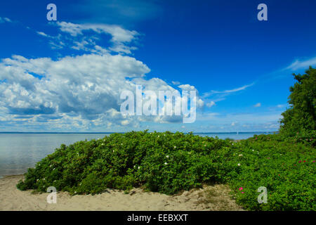 Leeren Sandstrand an der Bucht von Puck auf Hel-Halbinsel in der Nähe von Jastarnia in Polen Stockfoto