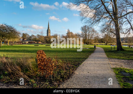 Pfad im Queen Elizabeth Gärten mit der Kathedrale von Salisbury in den Boden zurück Stockfoto