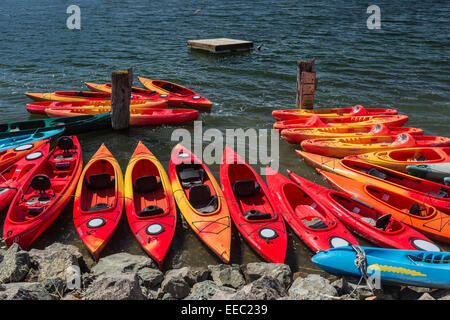 Ein Ausstatter Kajaks entlang den Russian River in der Nähe seiner Mündung in den Pazifik, Jenner, Kalifornien, USA Stockfoto