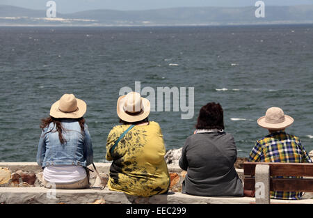 Touristen, die Southern Right Wale im Meer in Hermanus in Südafrika ansehen Stockfoto