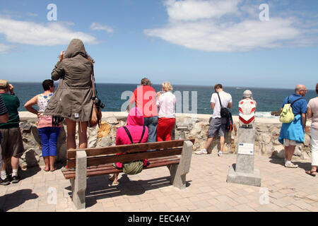 Touristen in Hermanus in Südafrika Southern Right Wale im Meer beobachten. Stockfoto