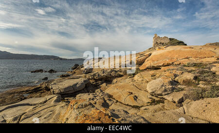 Zerstörten genuesischen Turm mit Blick auf das Mittelmeer auf Felsen am Punta Caldanu in der Nähe von Lumio in Balagne Region Korsika Stockfoto