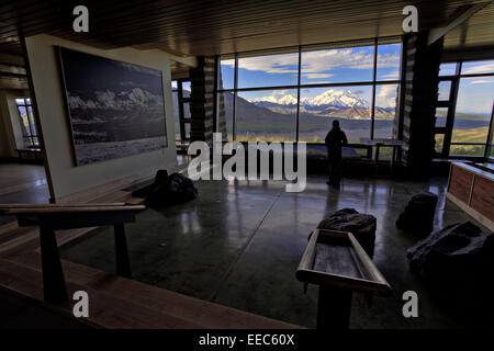 Blick vom Eielson Visitor Center im Denali Nationalpark, Alaska Stockfoto