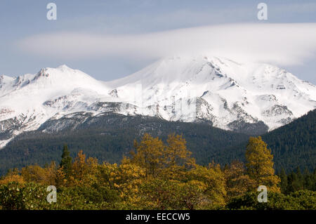 Blauer Himmel, schneebedeckten & Licht cloud überdachte Mount Shasta mit Aspen und Wald im Vordergrund Siskiyou County Kalifornien USA Stockfoto