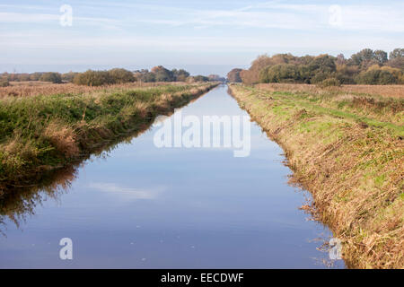 Fluß Brue auf der Somerset Levels, Somerset, England, UK Stockfoto