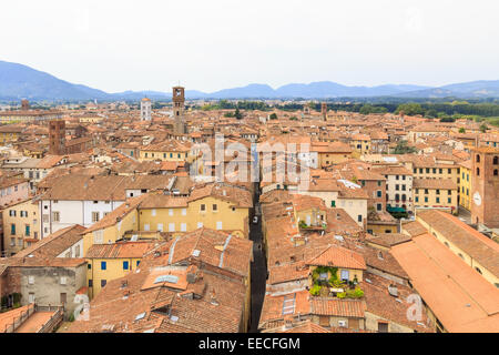 Das Stadtbild und die Dächer von Lucca, Italien, von oben Stockfoto