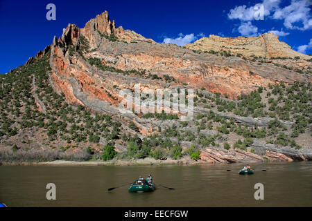 Sparren Reise flussabwärts Green Park Mitten im Dinosaur National Monument Maybell, Utah vorbei. Stockfoto